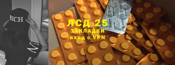 эйфоретик Баксан